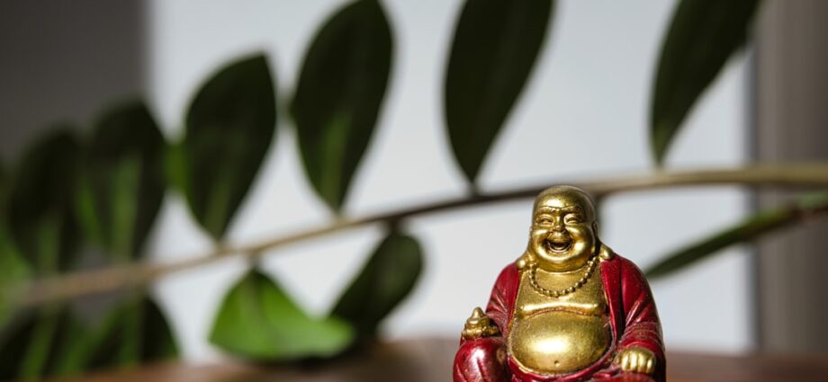 Photo Vegan Buddha Bowl