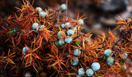 Photo Colorful fruits