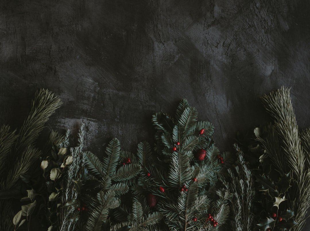 Photo Festive platter