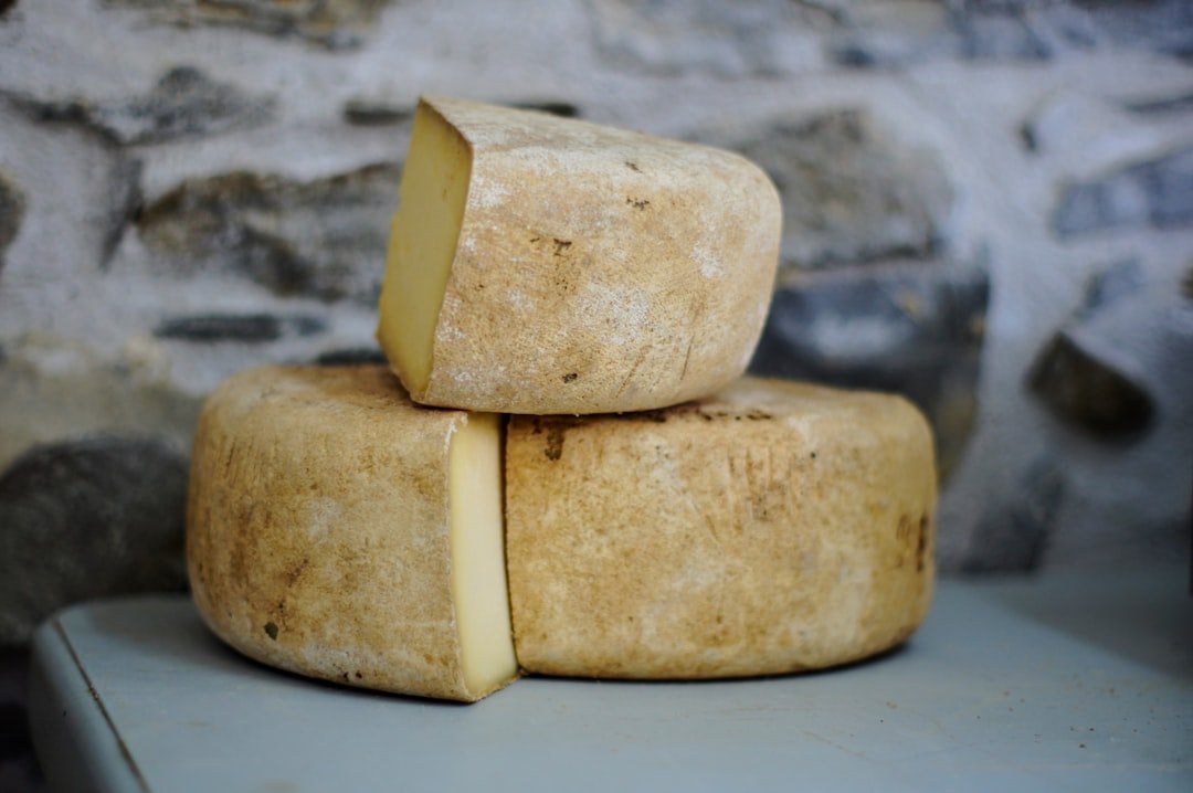 Photo Gourmet cheese platter