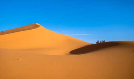 Photo Desert sub 300 calorii