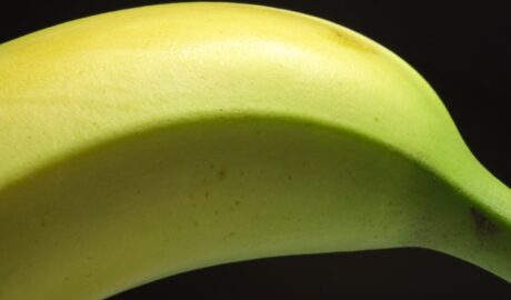 Photo pufos cu banane