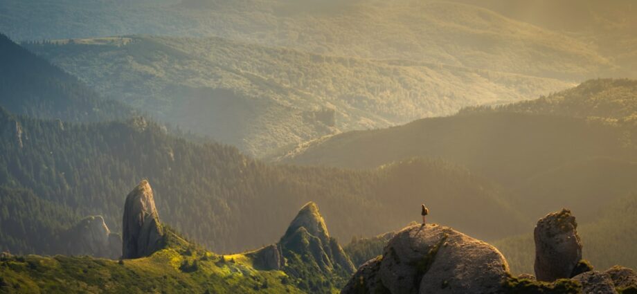 Photo brunch-uri București