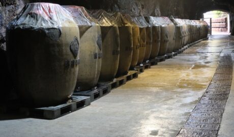 Photo Fermentation