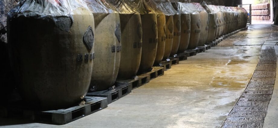 Photo Fermentation