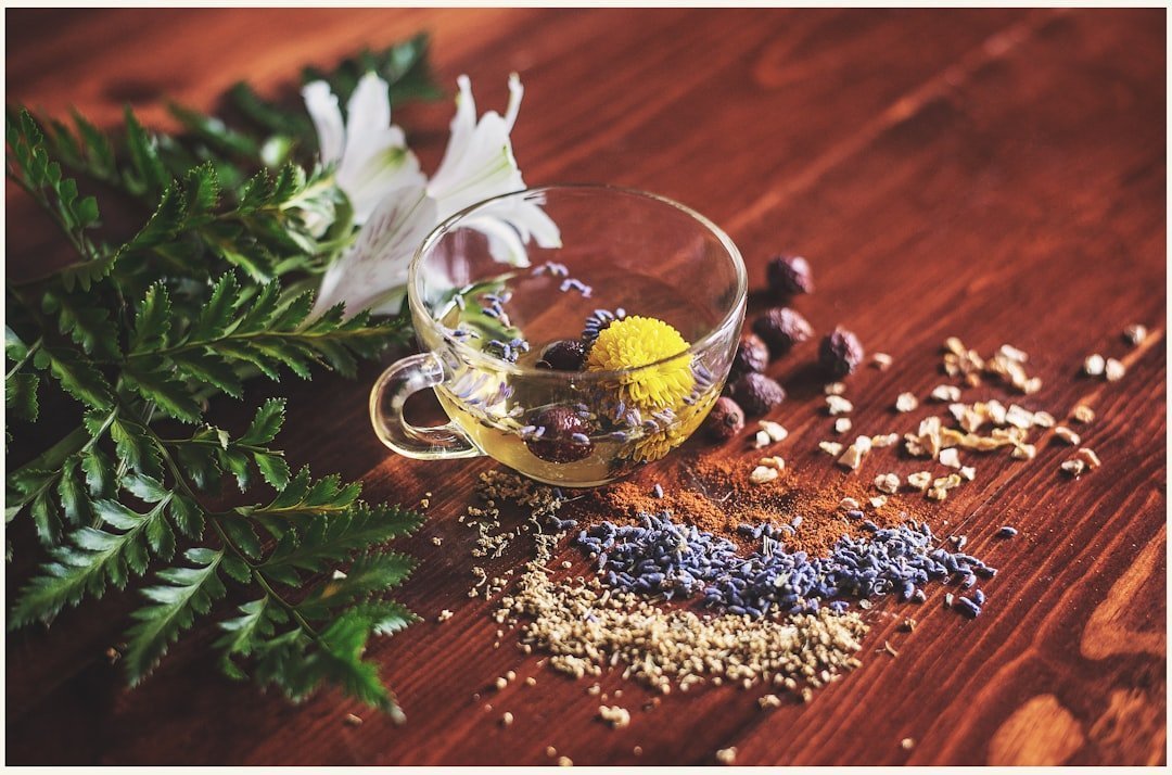 Photo herbs