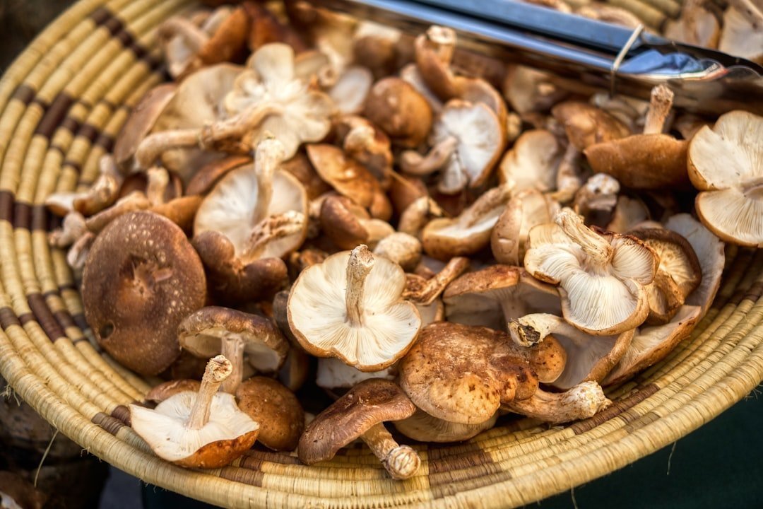 Photo clean mushrooms