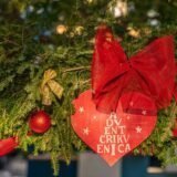 Ce criterii contează atunci când alegi o clinică stomatologică pentru toată familia