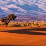 Photo desert echilibrat