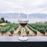 Photo choose wine