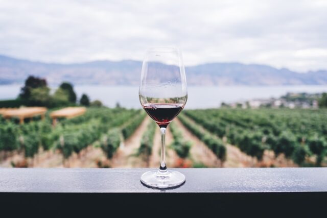 Photo choose wine