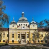 Secretul unei maioneze de casă care nu se taie niciodată