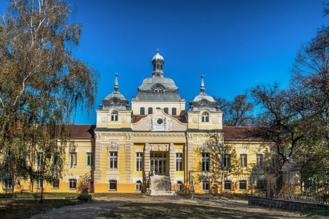 Secretul unei maioneze de casă care nu se taie niciodată