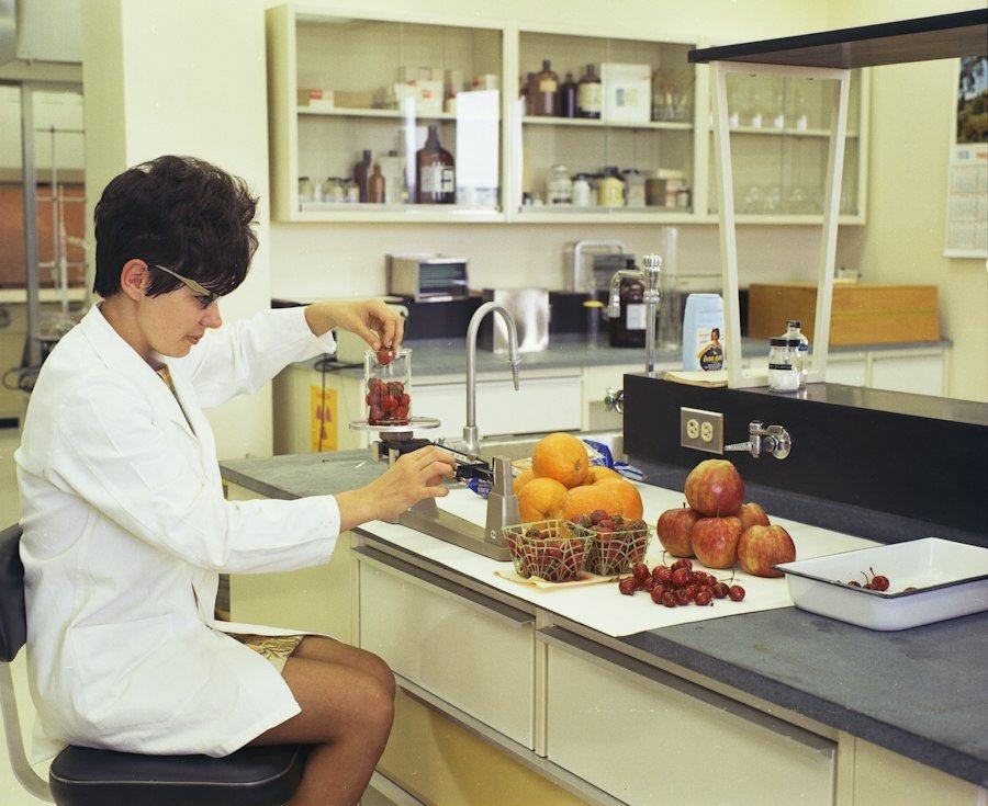 culinary techniques research analysis
